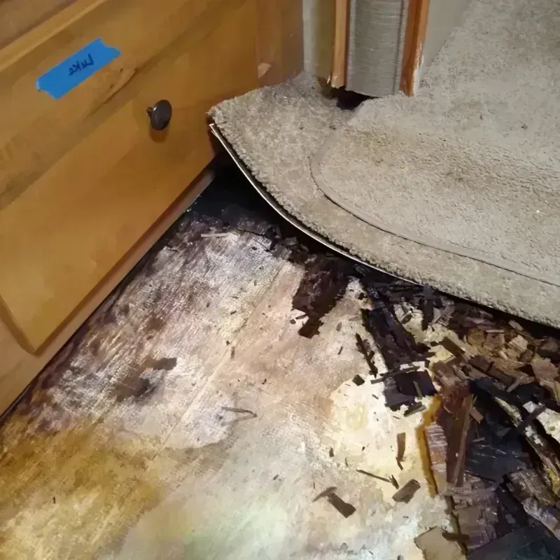 Best Wood Floor Water Damage Service in Stone County, AR